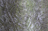 Ratling fibreglass roof work