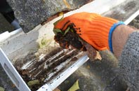 rated Ratling gutter cleaning companies